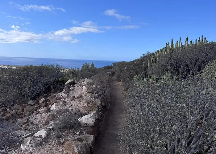 Mirlo Seaview * פאלם-מאר