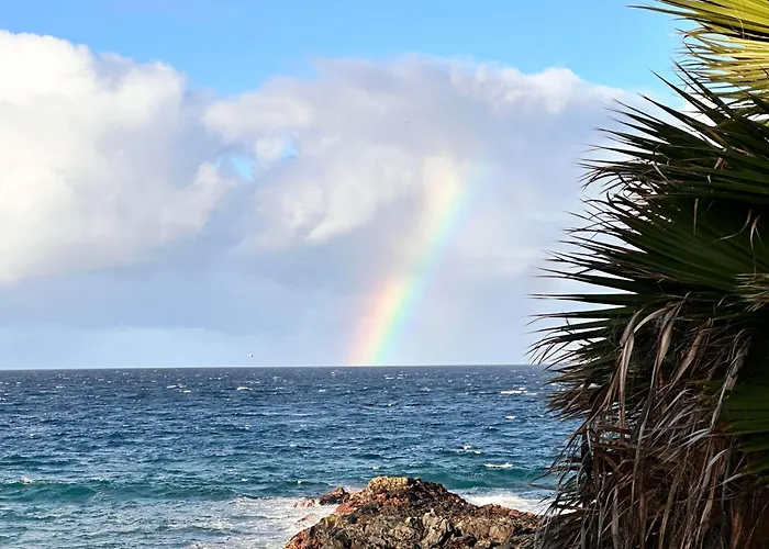 Mirlo Seaview Casa vacanze Palm-mar